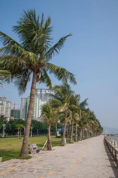 Road, zhuhai, guangdong par strandpromenaden — Stockfoto