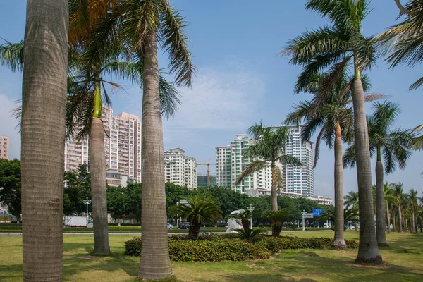 Route, Zhuhai, Guangdong couple front de mer rue parc — Photo