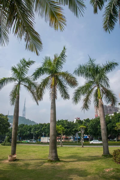 Camino, Zhuhai, Guangdong par parque de la calle frente al mar —  Fotos de Stock