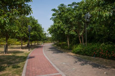 Zhuhai city, guangdong Eyaleti, orta sevgili vahşi kunduz Adası Deniz dil sahil yolunu