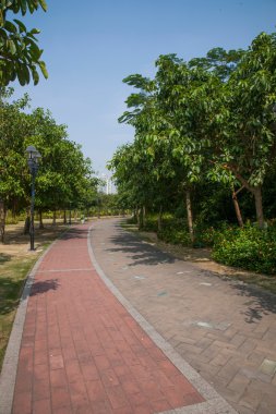 Zhuhai city, guangdong Eyaleti, orta sevgili vahşi kunduz Adası Deniz dil sahil yolunu