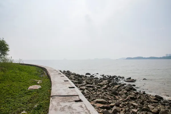 Camino, Zhuhai, Guangdong pareja mapache salvaje carretera costera alrededor de la isla — Foto de Stock