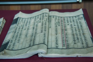 Zigong tuz Müzesi Çin tarihi malzemeler tuz çeşitli vitrin