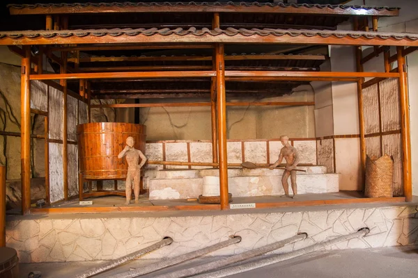 Zigong tuz müze vitrin teknolojik işlem modeli eski tuz alanın