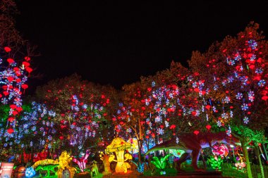 on dokuzuncu zigong uluslararası dinozor lantern Festivali 