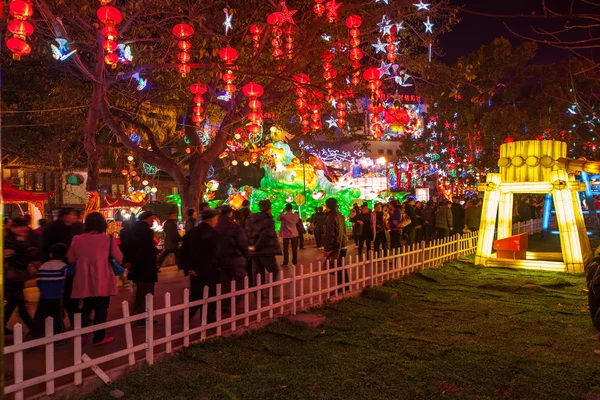 Zigong International Dinosaur Lantern Festival ke-19 ^ "auspicious Year of China" the main area — Stok Foto