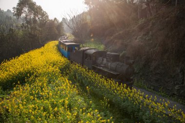 Leshan şehirde seyahat, sichuan qianwei kayo arılar kayalar tren ve tren istasyonu arasında sıçrama