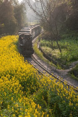 Leshan şehirde seyahat, sichuan qianwei kayo arılar kayalar tren ve tren istasyonu arasında sıçrama