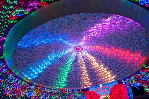 on dokuzuncu zigong uluslararası dinozor Fener festival 