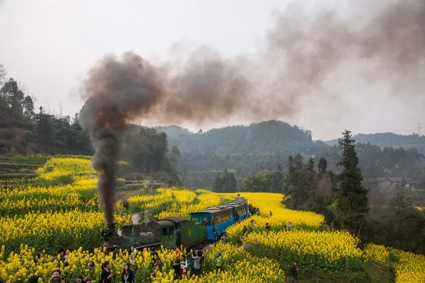 லெஷான் நகரில் பயணம், சிச்சுவான் Qianwei Kayo சிறிய ரயில் நிலையம் கானோலா மலர் தேனீ பாறை இடையே சிறிய ரயில் — ஸ்டாக் புகைப்படம்