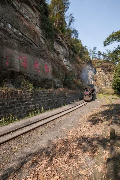Viaggiando a Leshan City, Sichuan Qianwei Kayo piccola stazione ferroviaria canola fiore ape rock aquila becco con un piccolo tunnel ferroviario tra — Foto Stock