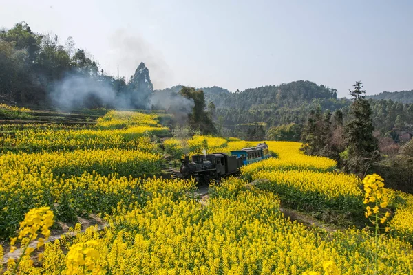 楽山市旅行四川チエンウェイ佳代小さな鉄道駅菜種花蜂岩間小さな電車に — ストック写真