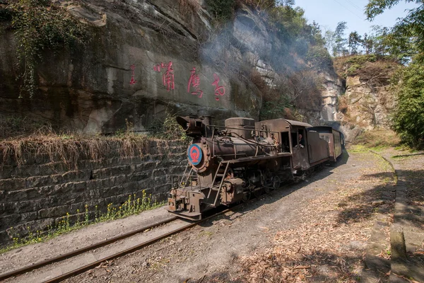 Viajar en Leshan City, Sichuan Qianwei Kayo pequeña estación de tren canola flor abeja roca águila pico con un pequeño túnel de tren entre — Foto de Stock