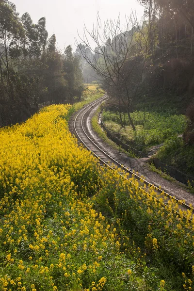 Ταξιδεύει στην πόλη της leshan, sichuan qianwei Κάγιο τρένο μέλισσες βράχους και άλμα μεταξύ το σιδηροδρομικό σταθμό — Φωτογραφία Αρχείου