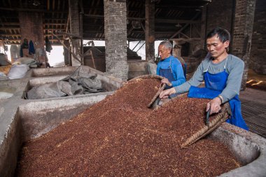 Leshan şehir, qianwei rochester kent bira fabrikası işçileri fermantasyon lees gölette yerleştirilir sichuan devam fermantasyon mayalanmaya
