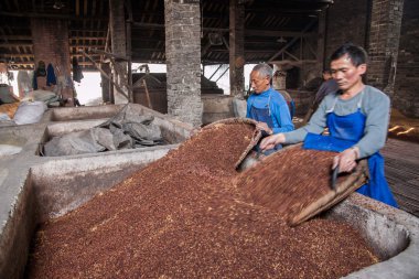 Leshan şehir, qianwei rochester kent bira fabrikası işçileri fermantasyon lees gölette yerleştirilir sichuan devam fermantasyon mayalanmaya