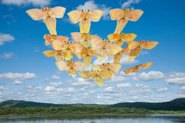 Çince unsurları uçurtma