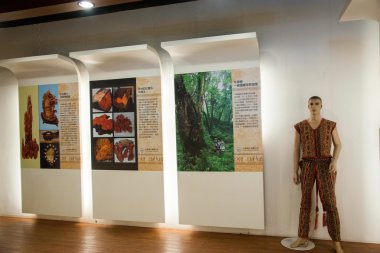 Puli İlçesi, nantou county, Tayvan thao kültürü Sergisi Galeri