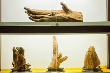 Puli İlçesi, nantou county, Tayvan thao kültürel Sergi Merkezi Sergisi 