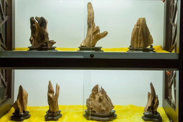 Municipio de Puli, Condado de Nantou, Taiwán Centro de Exposiciones Culturales Thao exposición "madera de agar " — Foto de Stock