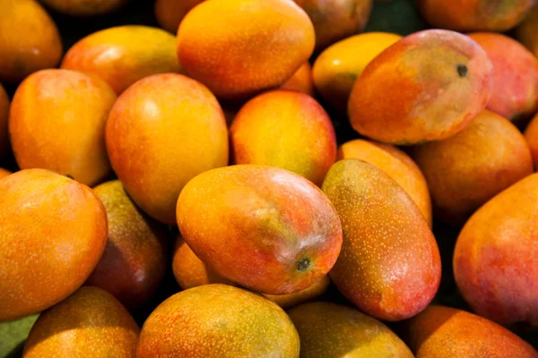 Owoce tropikalne mango ---- — Zdjęcie stockowe