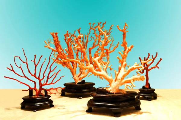 Выставка драгоценных красных кораллов в Тайтунском городском выставочном центре — стоковое фото