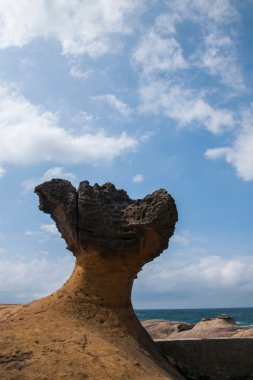 Wanli İlçesi, yeni taipei city, Tayvan 