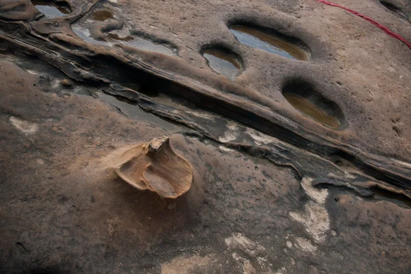 Wanli district, nieuwe stad van Taipeh, taiwan "yehliu geopark" en "stijf steen" vreemd rotsachtige landschap — Stockfoto