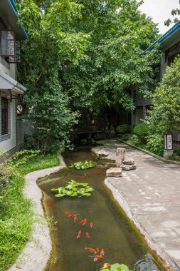 Banan İlçesi, Doğu riverside resort & spa beş bez turistik bölge, chongqing, 