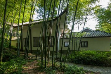 yongchuan district, chongqing dasan bambu 