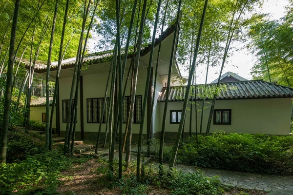 Distrito de Yongchuan, Chongqing Dasan Bambú escénico "Casa de dagas voladoras" fue filmado Hills —  Fotos de Stock