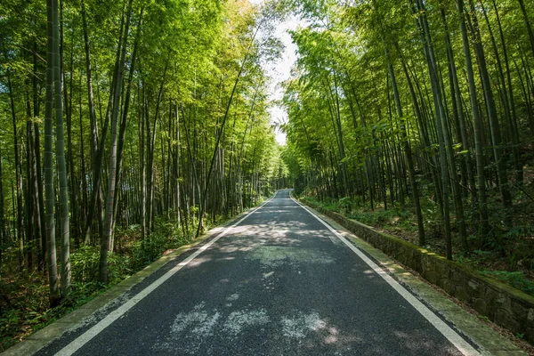 Район Юнчжоу, Чунцин, бамбуковый пейзаж "Изумруд" " — стоковое фото