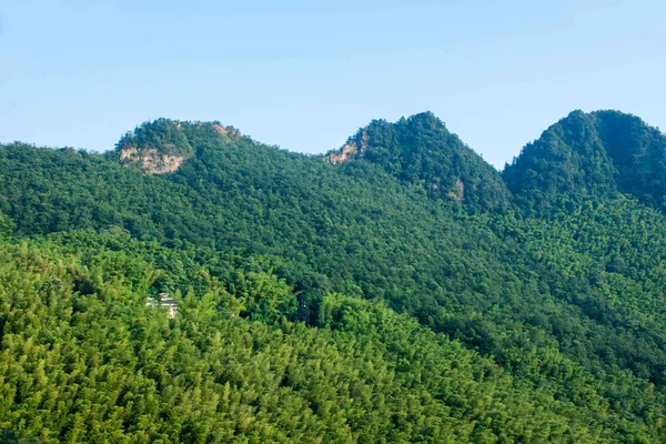 Distrito de Yongchuan, Cênico de bambu de bambu de Chongqing Dasan — Fotografia de Stock