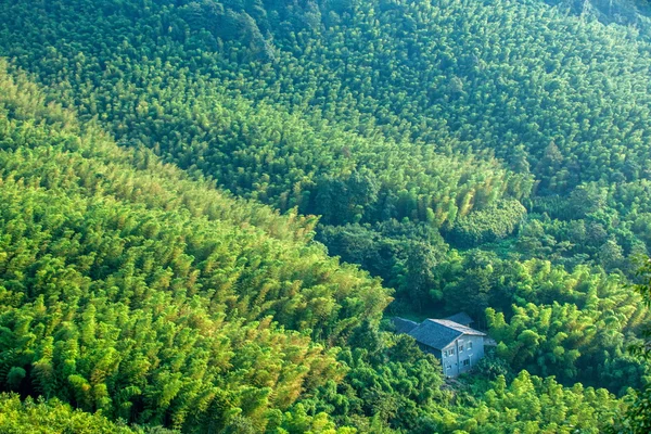 Distrito de Yongchuan, Cênico de bambu de bambu de Chongqing Dasan — Fotografia de Stock