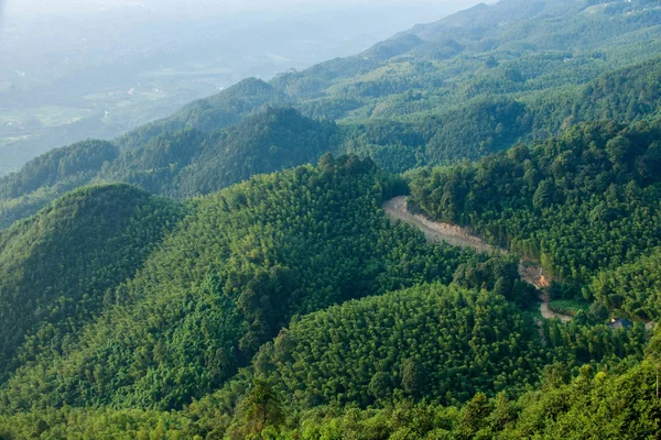 Yongchuan district, chongqing dasan bambu bambu doğal — Stok fotoğraf