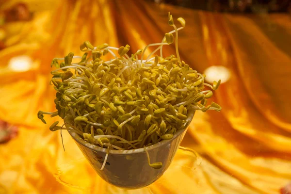 One of Chongqing hot pot dishes "sprouts" — Stock Photo, Image