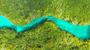 Casa Cenote - Meksika'nın en ünlü Cenotes biri. Kristal berraklığında renkler ve Cenotes yaşayan büyük bir çeşitlilik balık.