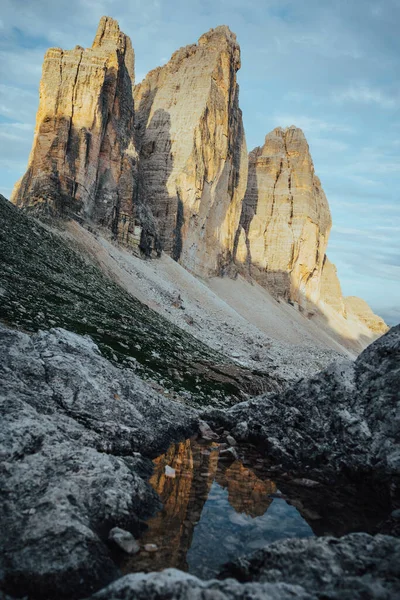 Drei Zinnen Fiore All Occhiello Delle Alpi Italiane Alto Adige — Foto Stock