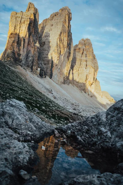 Drei Zinnen Fiore All Occhiello Delle Alpi Italiane Alto Adige — Foto Stock