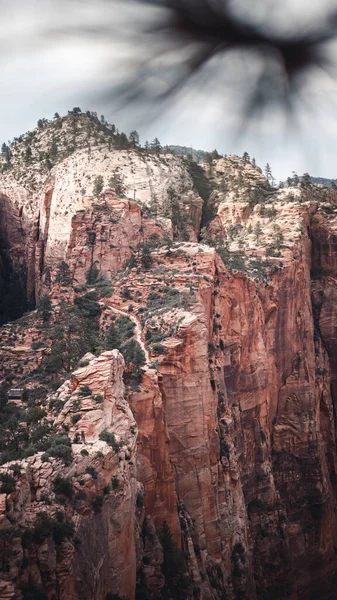 Uno Los Parques Nacionales Más Bellos Los Estados Unidos —  Fotos de Stock