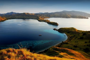 Komodo Adası Ulusal Parkı