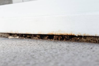 Dünya ve bitkiler pencere çerçevesi ile balkonun dışındaki fayans arasında büyüyorlar. Doğal ışık süper yakın plan çekimde..