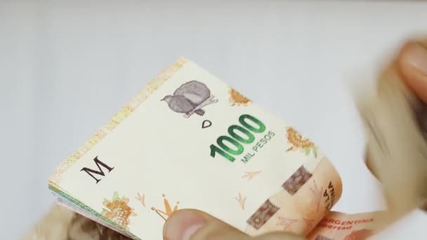 Vit Kvinna Höger Hand Räkna Argentinska Pesos Sedlar Pengar Kontanter — Stockvideo