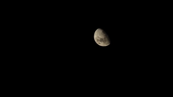 Восходящая Луна Отражающая Солнечный Свет Поверхности Кратерами Первый Час Темной — стоковое видео