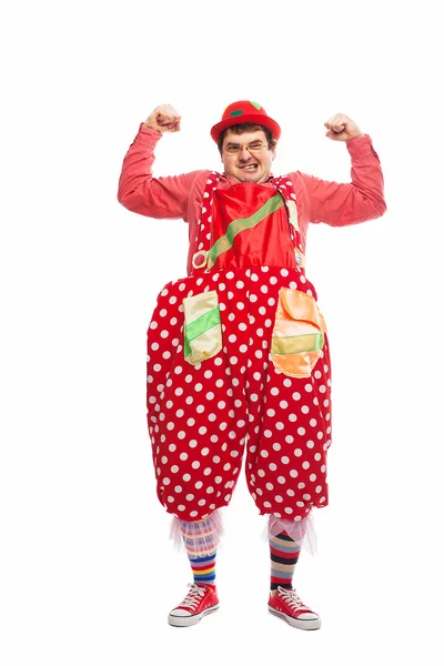 Funny adult dressed in clown isolated on white — Stock Photo, Image