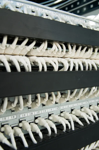 Network cables in communication rack — Stock Photo, Image