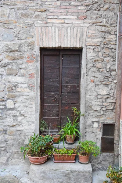 Collection Medieval Wooden Doors Photographed Sant Angelo Vado Very Ancient — Stock fotografie
