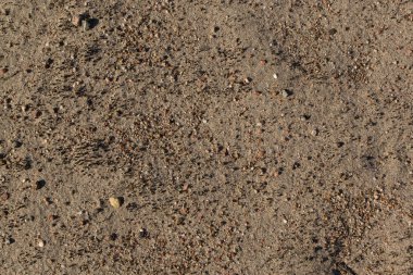 küçük taşlarla kum.