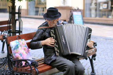 Ukrayna, chernivtsi: Sokak çalgıcısı