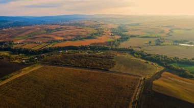 Landscape of a field and a village of western Ukraine. Aerial view.